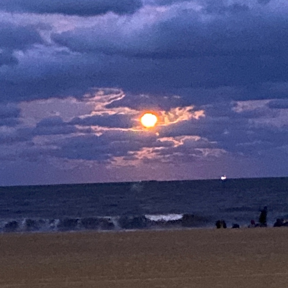 Meet your Posher, Akira